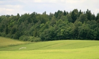 Pasitarimai dėl Europos Sąjungos paramos kaimo plėtrai 2014 – 2020 m.