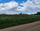Telšių apskr., Rietavo, Medingėnų  sen., Kiliūnėnų k.