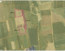 Tauragės apskr., Jurbarko r., Šimkaičiū  sen., Vadžgirio k.